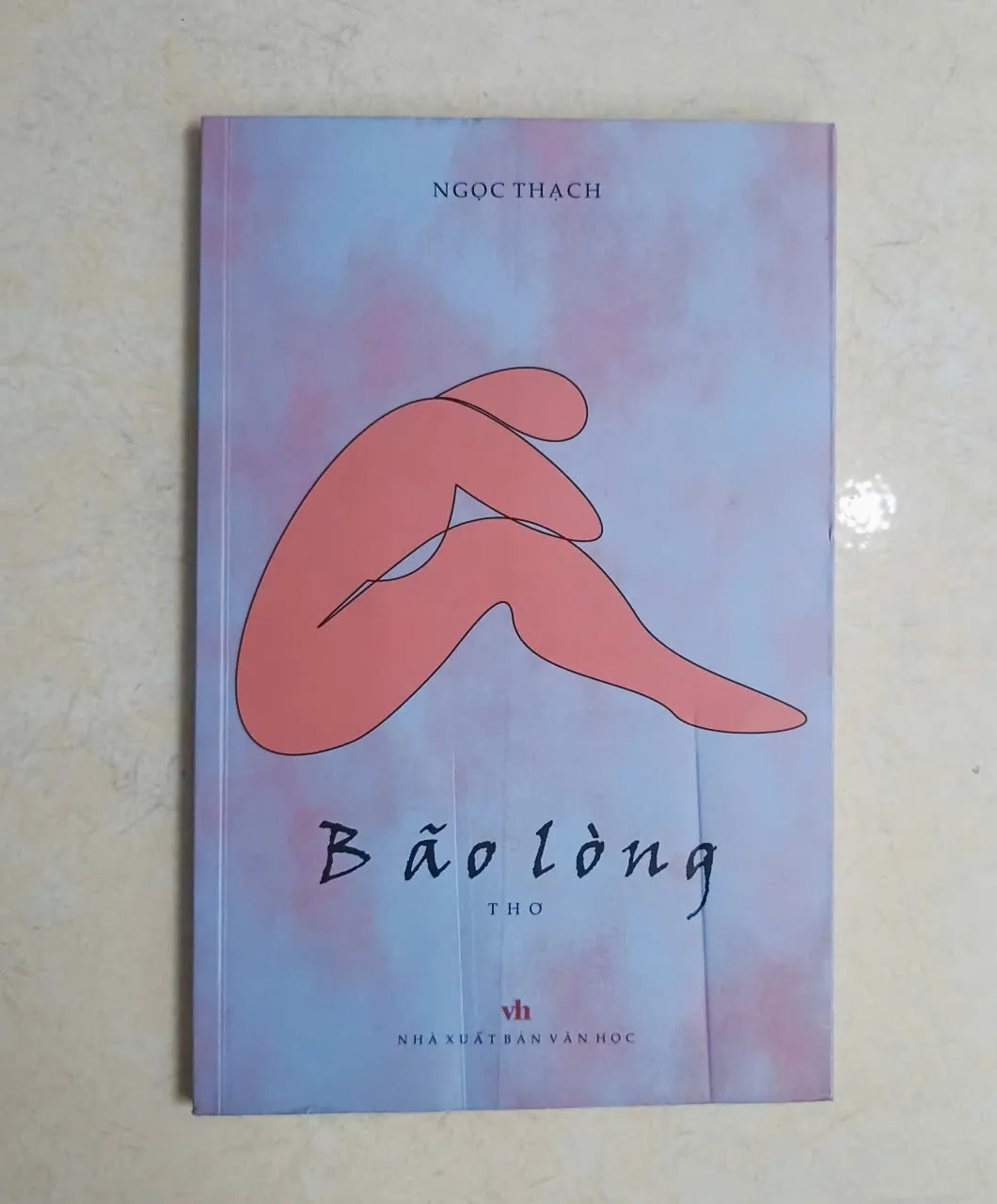 Bão lòng 🌻 by  - Sách Book Cover - Ngọc Hiển Books