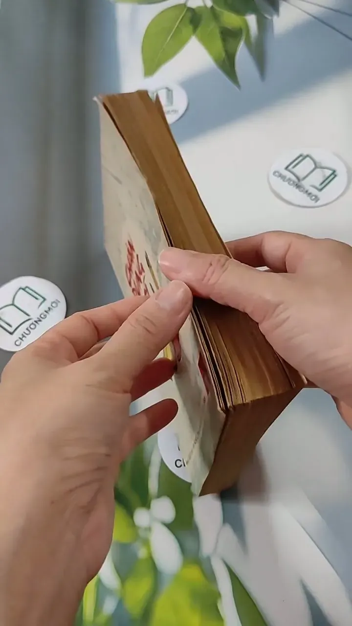 Chân Dung Kẽ Sĩ - Giai Thoại - Thái Doãn Hiểu - Hoàn Liên 713819