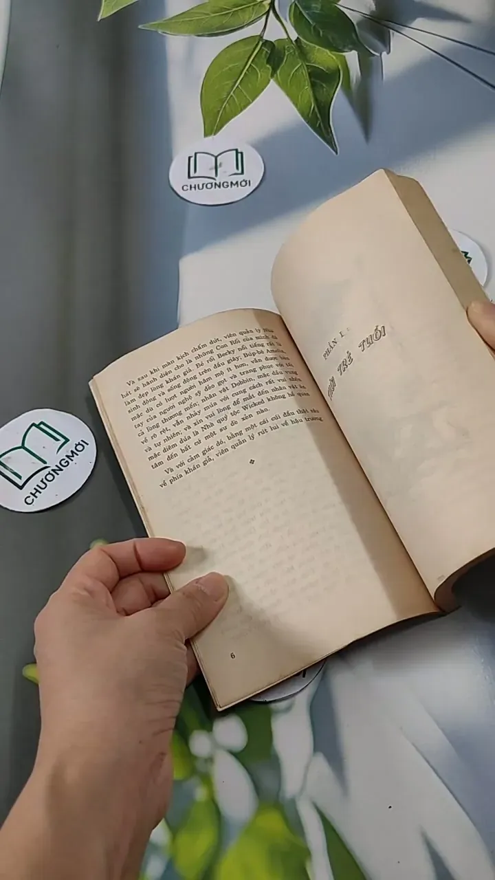 Hội Chợ Phù Hoa - W.M. Thackeray 713825