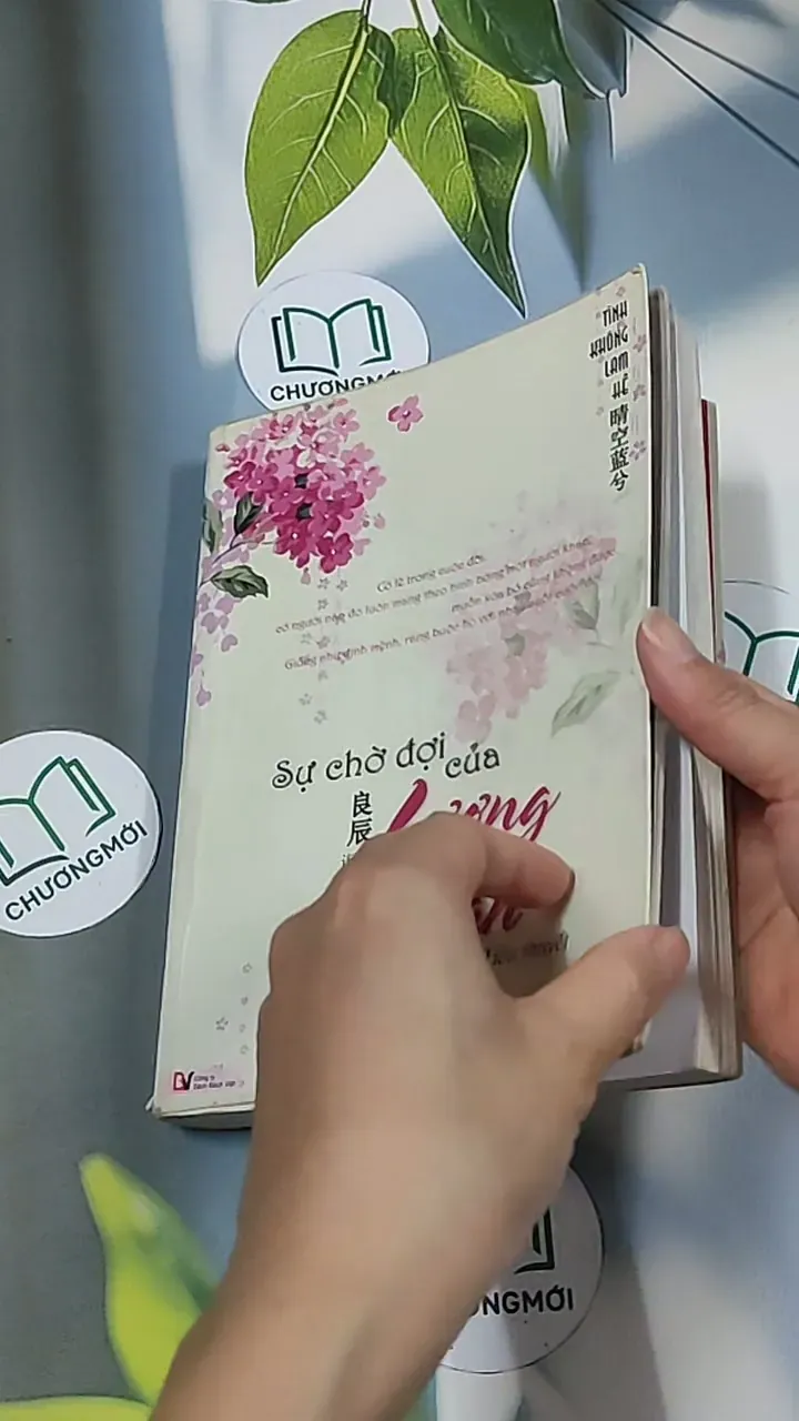 Sự chờ đợi của Lương Hằng - Tinh Không Lam Hề 688685