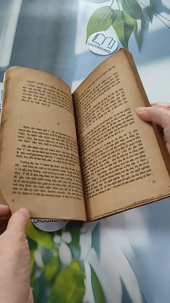 [XƯA] Người Trong Ống (1990) - Vi Hồng 776053