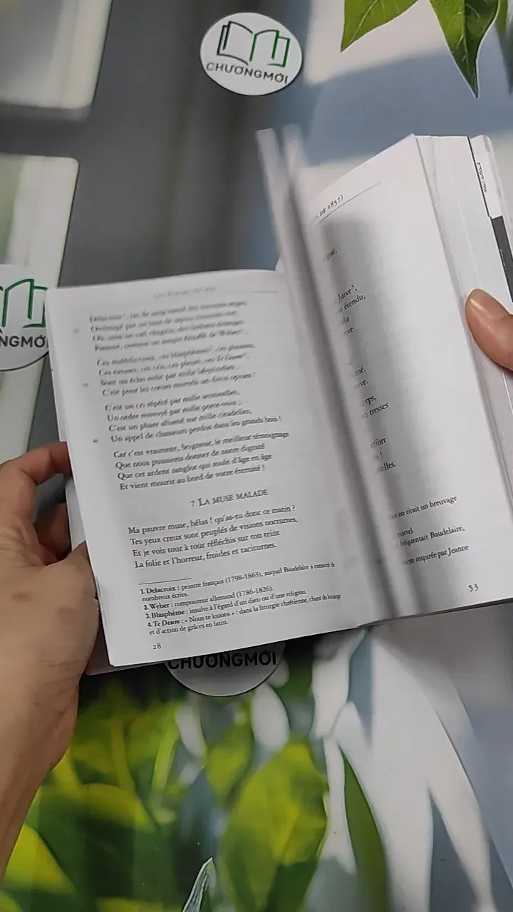 Les Fleurs du mal - Charles Baudelaire 754503