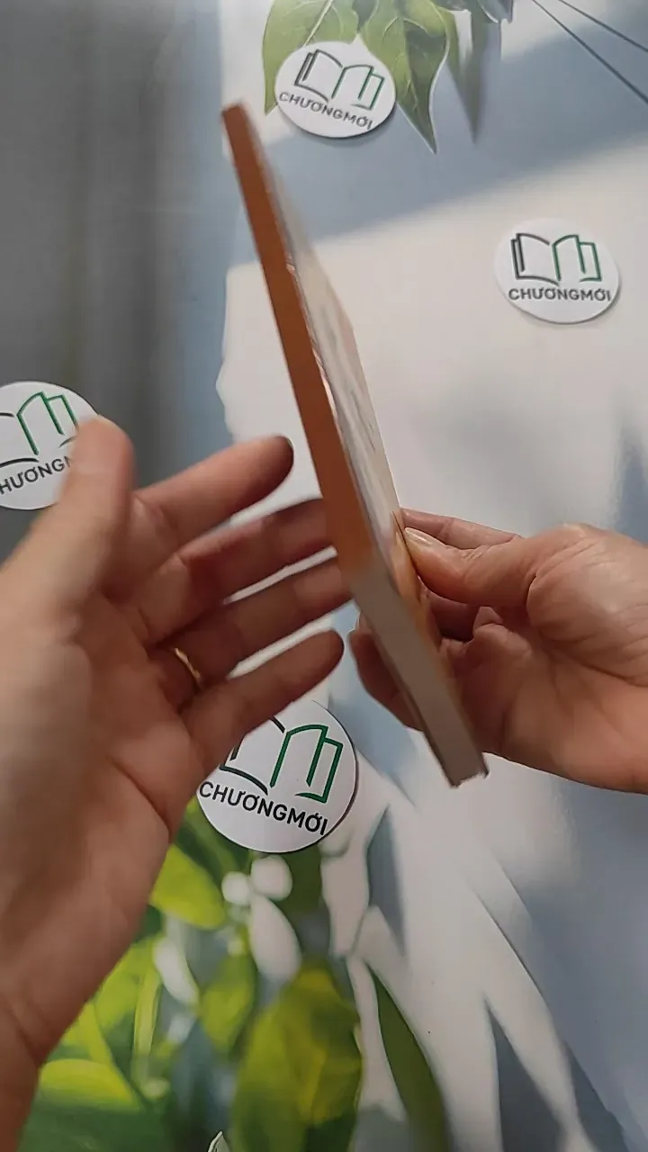 Phù Vân - Thư Pháp - Thanh Sơn 775953