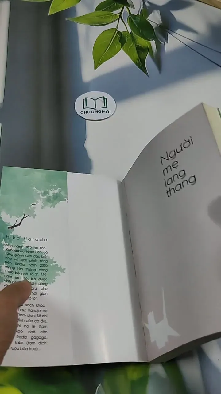 Người Mẹ Lang Thang - Hika Harada 705688