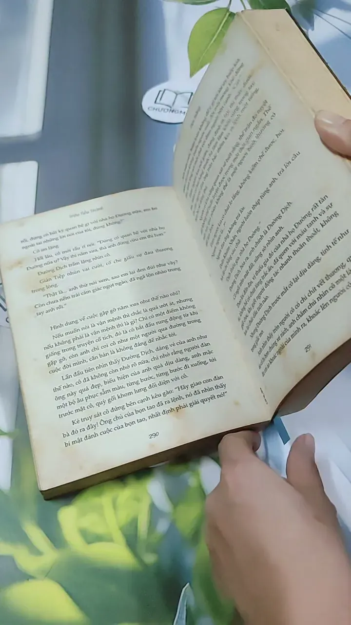 Đen Trắng - Triêu Tiểu Thành 744742