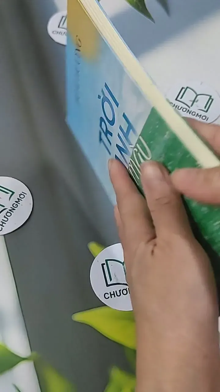 Trời Xanh Màu Tình Yêu - Hoài Hương 705620