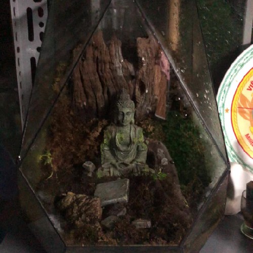 Bể terrarium thang lý 17025