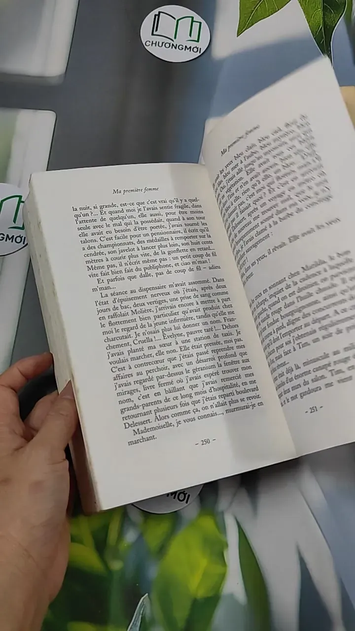 [MIỄN PHÍ BỌC SÁCH] Ma première femme - Yann Queffélec 754529