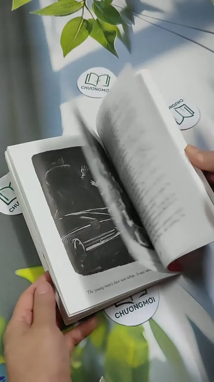 The Stranger - Norman Whitney 707313