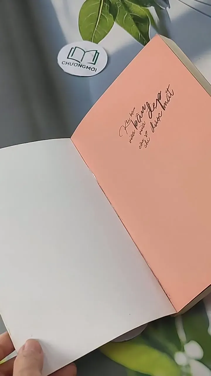 Khi Bạn Bận Vừa Xinh Đẹp, Còn Sợ Chi Được Mất - Lương Sảng 705609