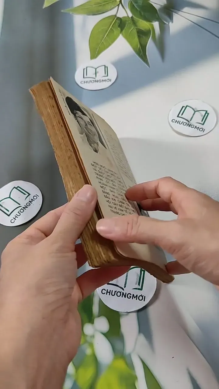 Phóng sự Tiếng Kêu Của Con Chim Gõ Kiến (Có Chữ Ký Tác Giả) - Trúc Chi & Nguyễn Công Thắn 713827