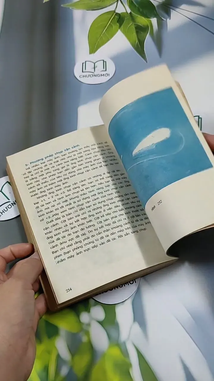 Nếu Bạn Muốn Chụp Một Tấm Hình Đẹp - Ninh Hùng 713856