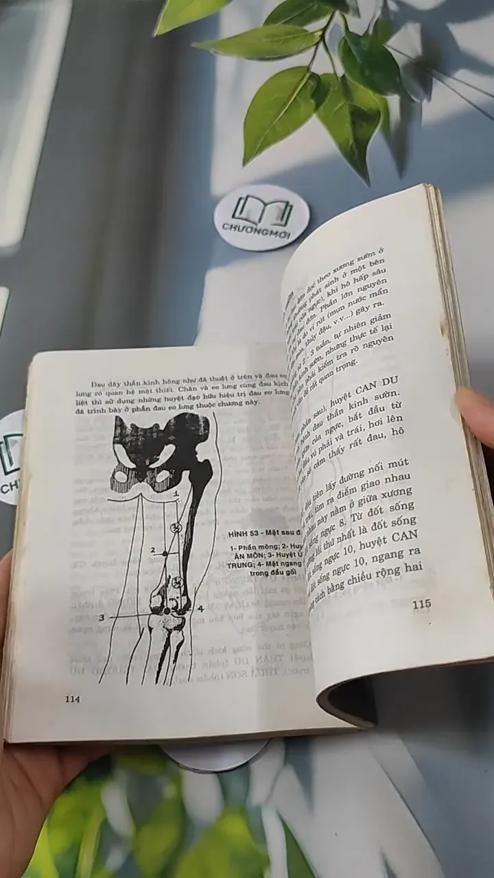 Phương Pháp Bấm Huyệt Chữa Bệnh - Phùng Lực Sinh 727233