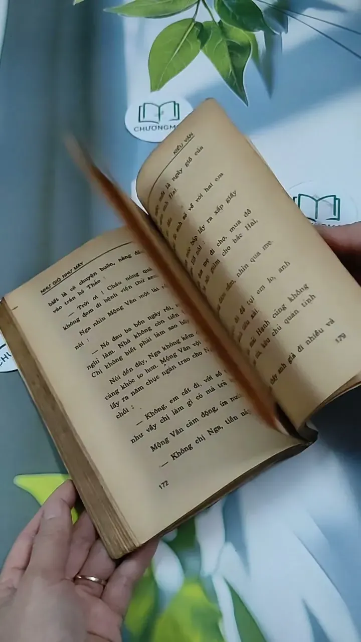 Như Gió Như Mây - Kiều Vân 713857