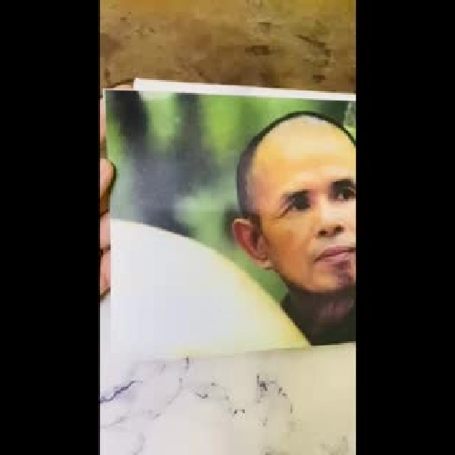 🌿 ẢNH Thầy THÍCH NHẤT HẠNH 🌿