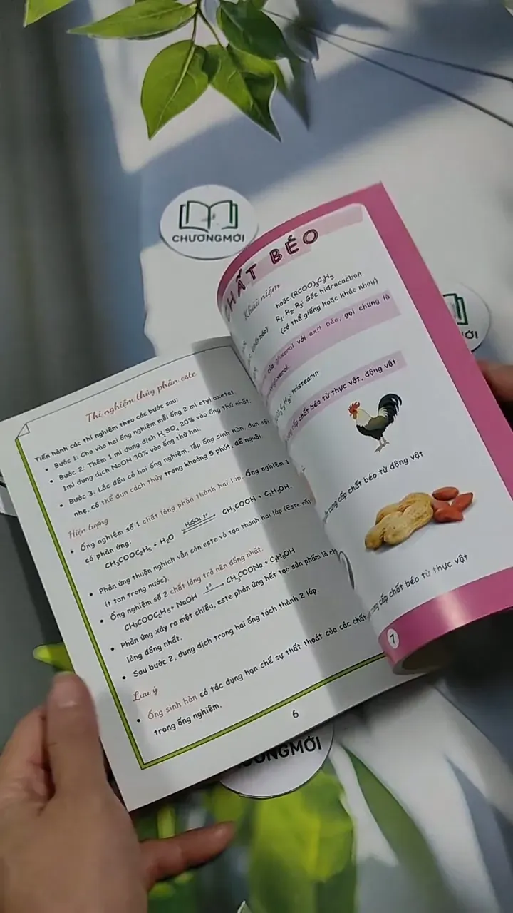 Sổ Tay Kiến Thức Trọng Tâm Hóa Học 12 - ThS. Lê Quỳnh Trang 707330