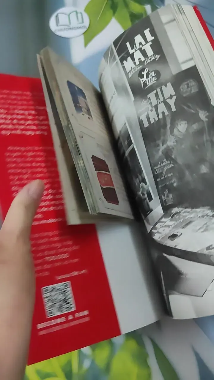 Tìm Thấy & Lạc Mất 780884