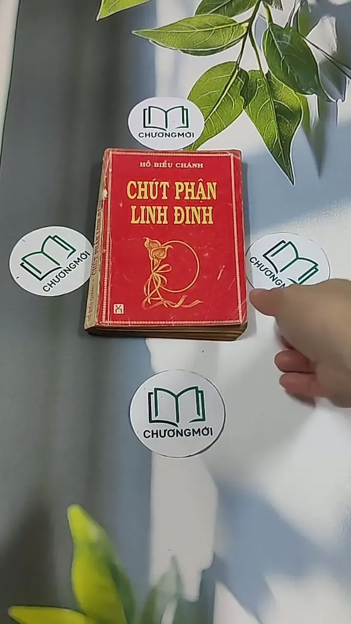 Chút Phận Linh Đinh (1996) - Hồ Biểu Chánh 674979