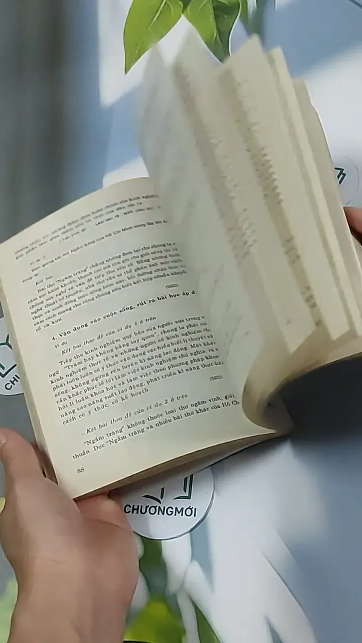 Rèn kỹ năng làm văn nghị luận - Bảo Quyên 698574