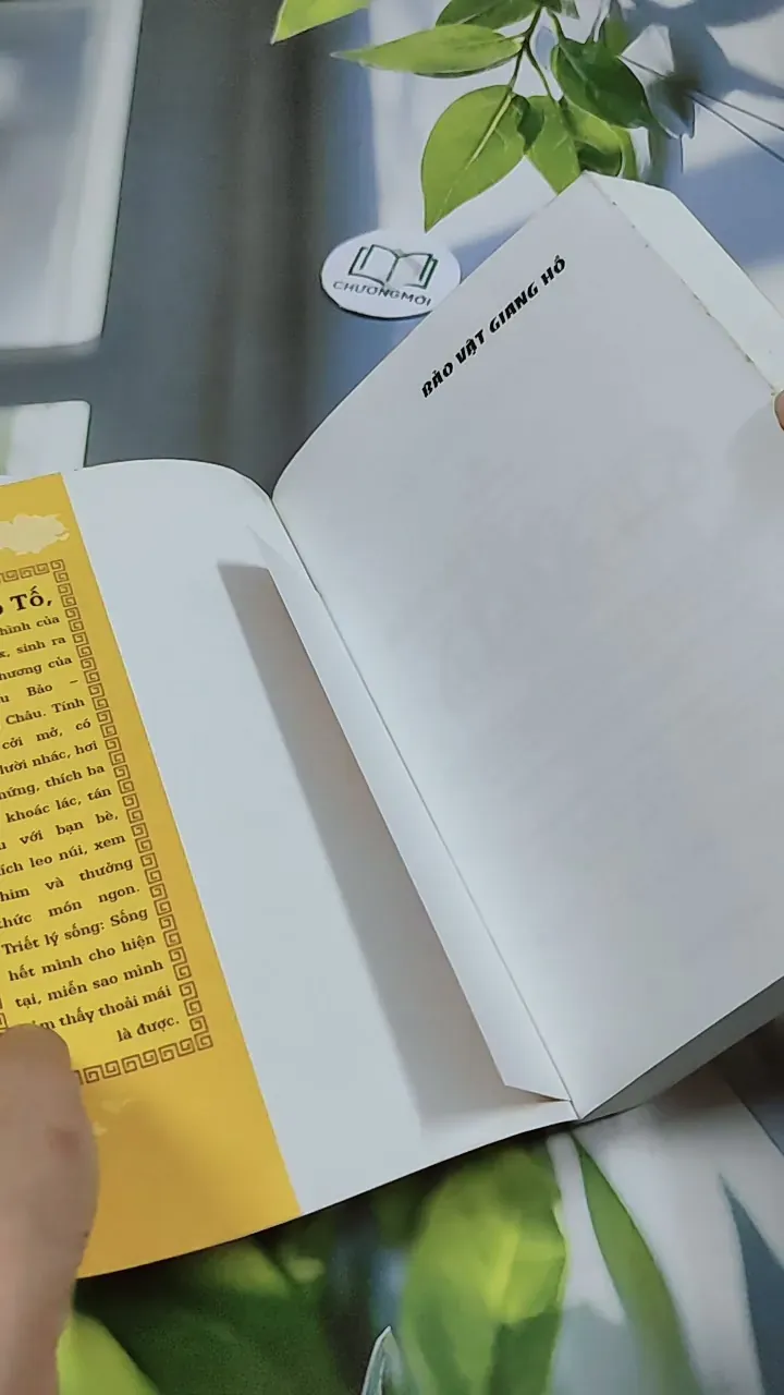 Bảo Vật Giang Hồ - Tô Tố 744769