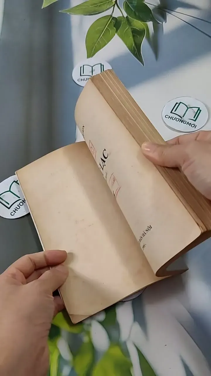 Cực Lạc - Cao Duy Sơn 713826