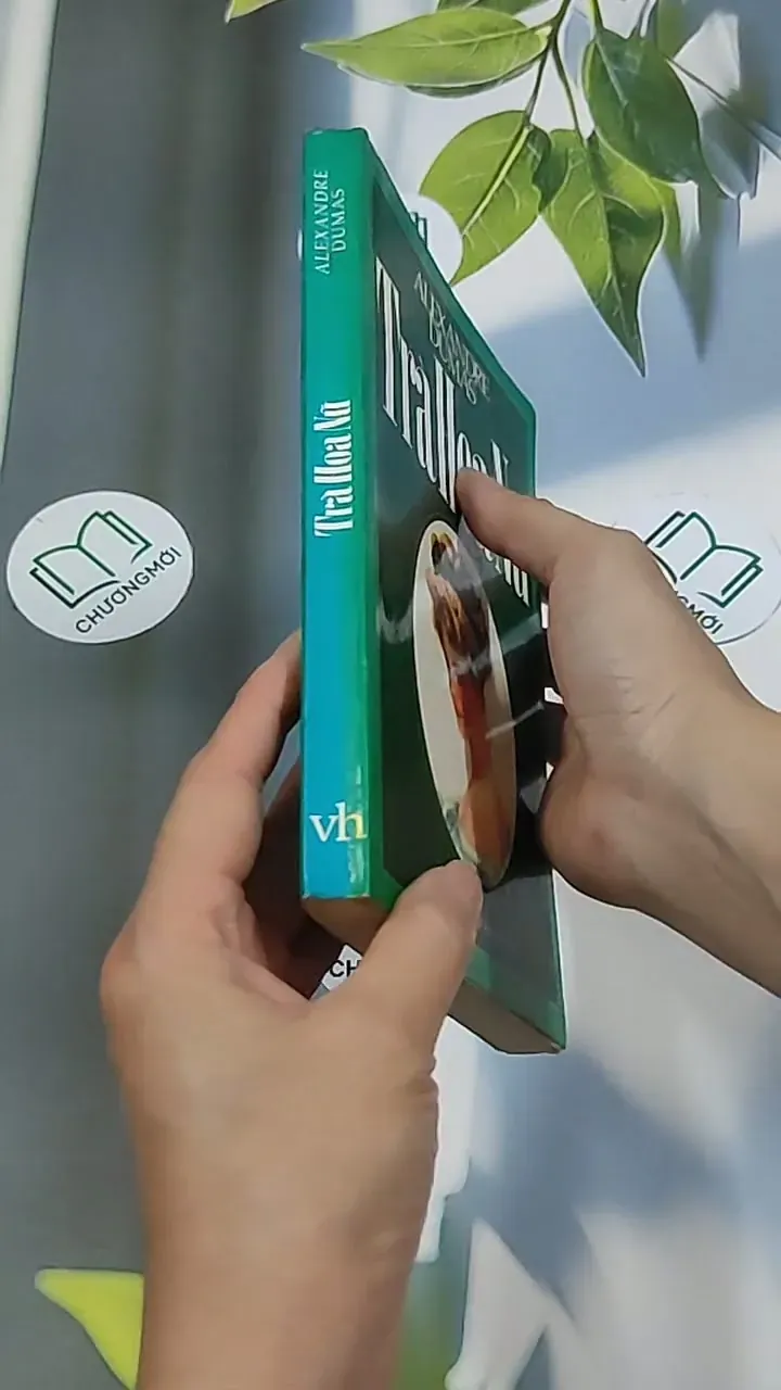 Trà Hoa Nữ 674981