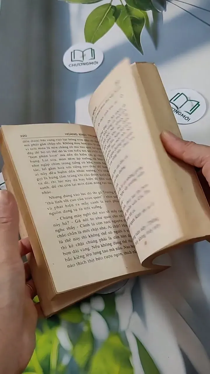 Con Đường Định Mệnh - Hoàng Bình Trọng 713817