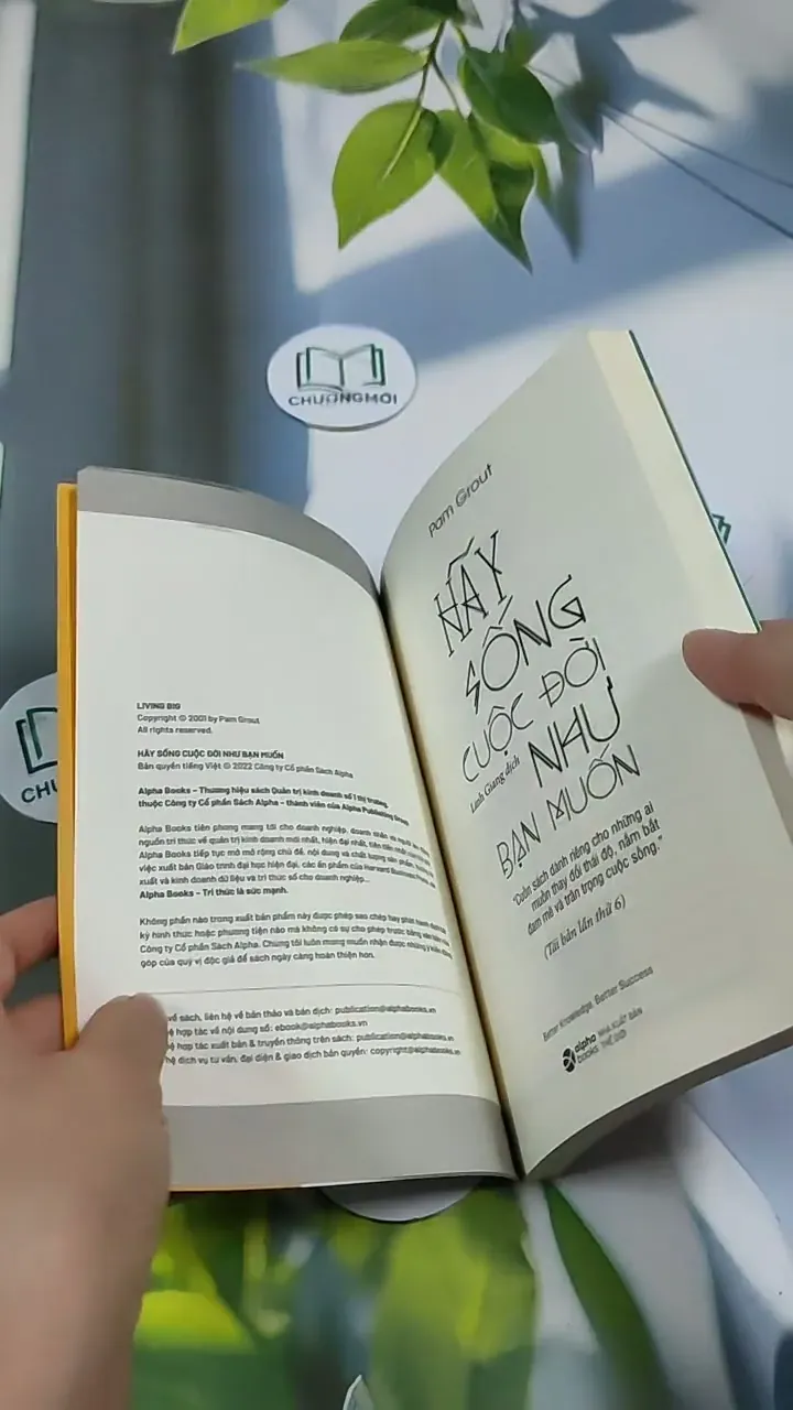 Hãy Sống Cuộc Đời Như Bạn Muốn - Pam Grout 705686