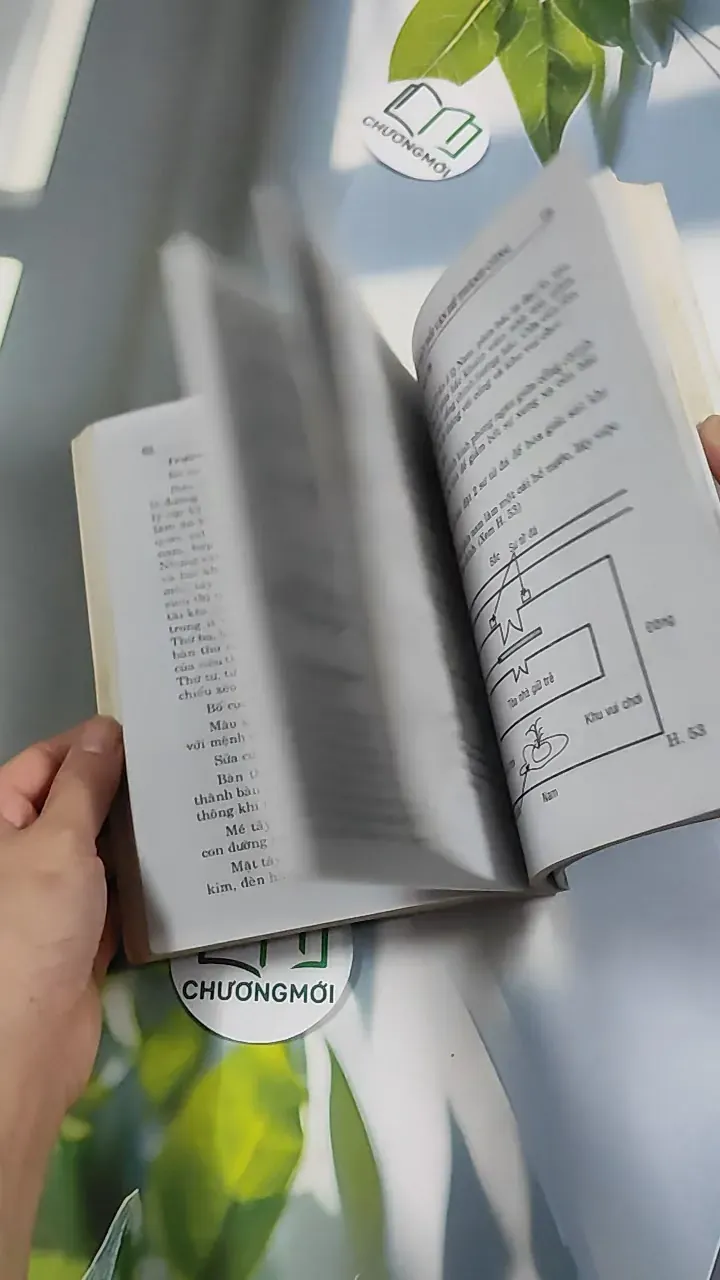 Phong Thủy Đổi Vận Để Thành Công - Thiệu Vĩ Hoa 776195