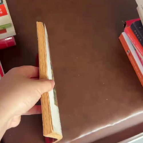 Kỹ Thuật Côn Nhị Khúc (Nunchaku) – Võ Sư Từ Thiện, Hồ Tường | Sách võ thuật xưa hiếm- K3