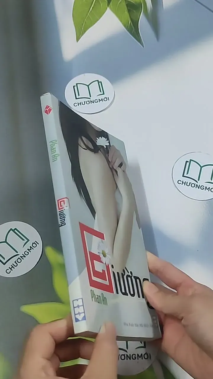 Giường - Phan An 694986