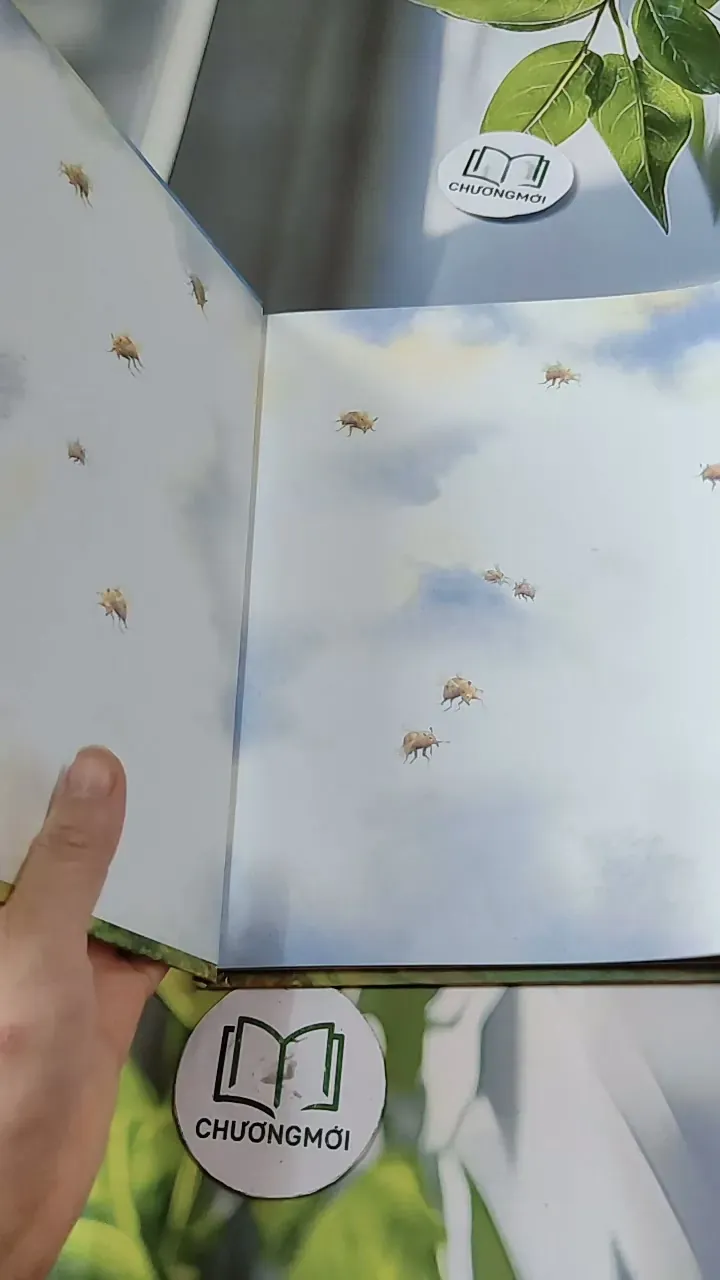 [Tặng nẹp góc] Truyện thiếu nhi Hàn Quốc: Moyamo Anu 29 -  모야모 아누와: 베이암과 두 아내 732022