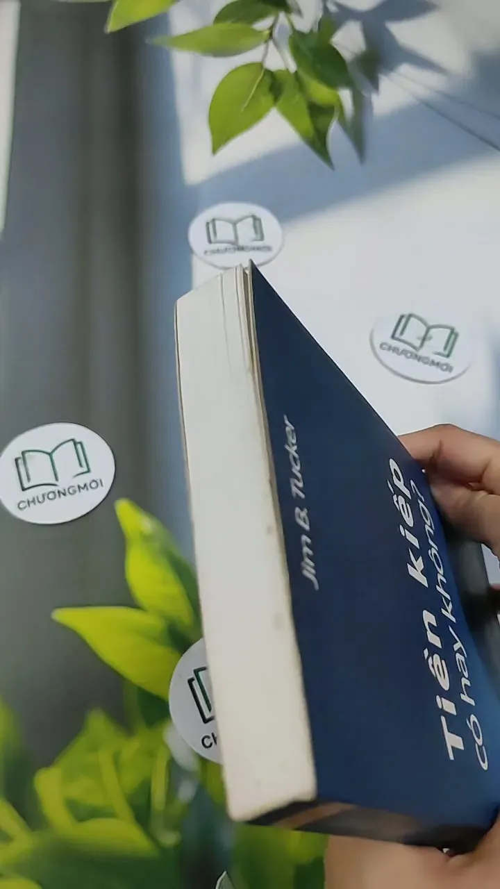 Tiền Kiếp - Có Hay Không? 705673