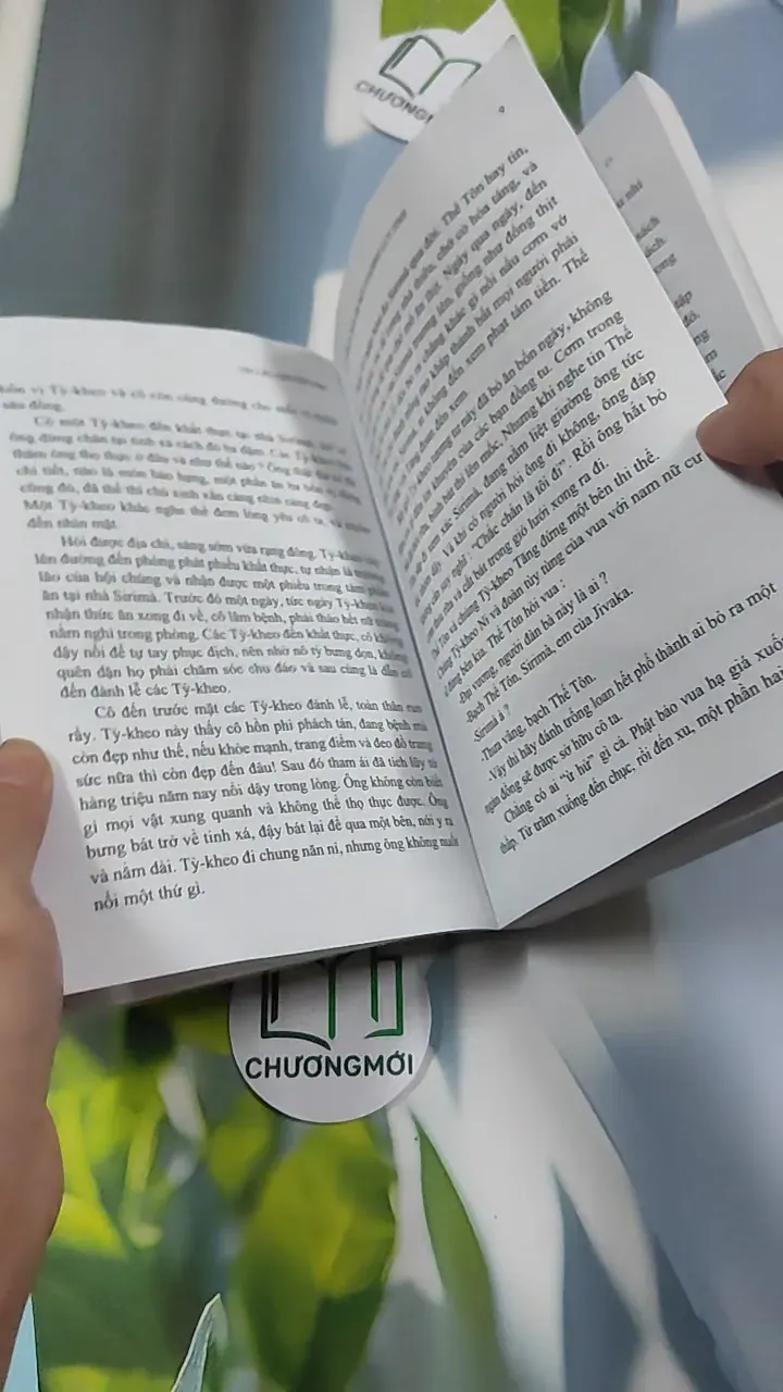 Vài câu chuyện Đạo (Song ngữ Việt - Pháp) 776202