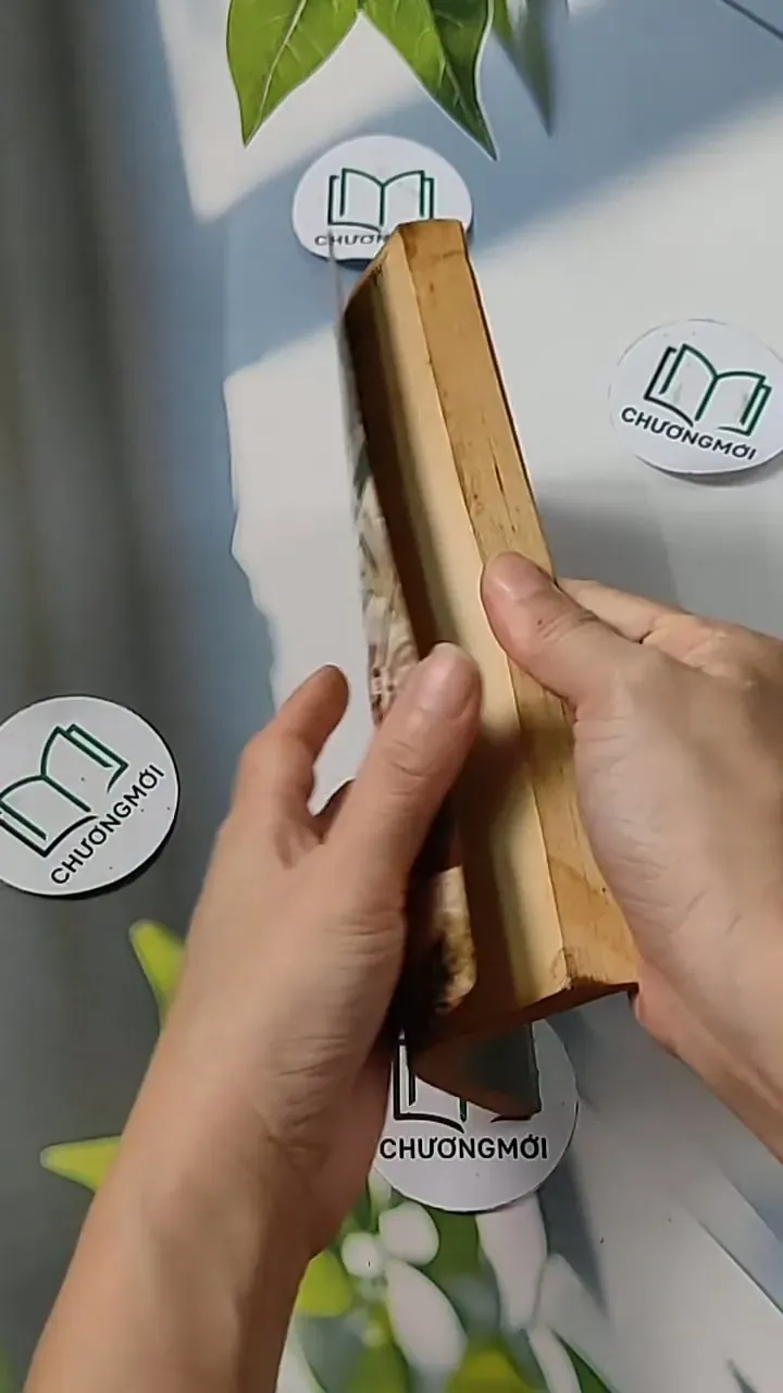 The River - Gary Paulsen 703097