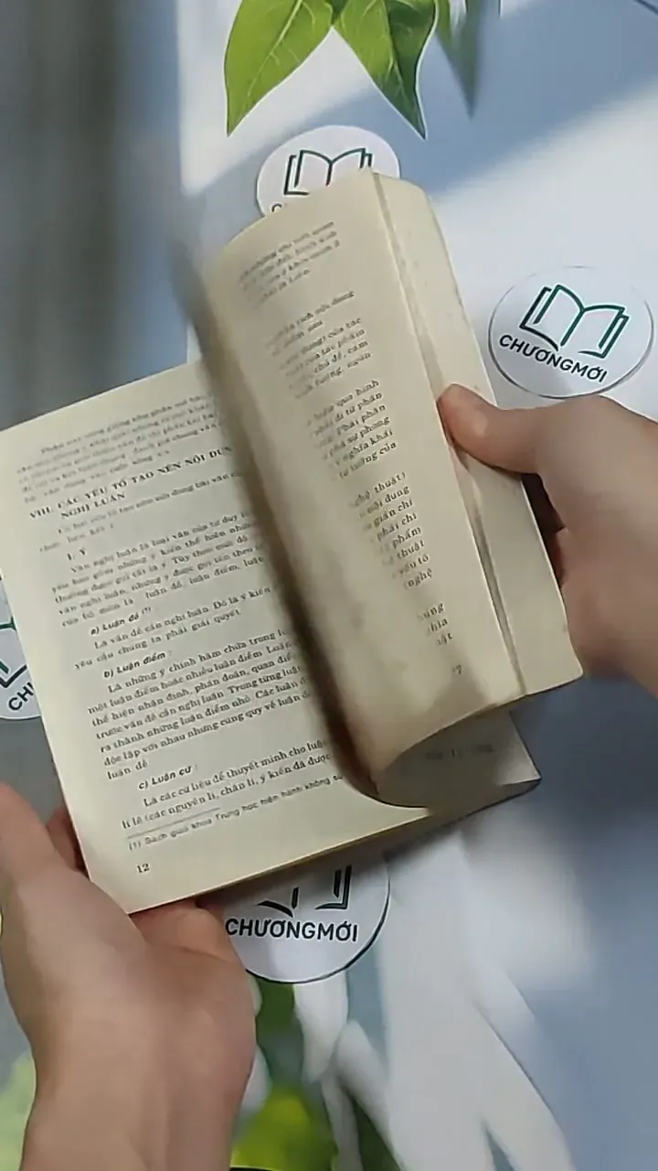 Rèn kỹ năng làm văn nghị luận - Bảo Quyên 698574