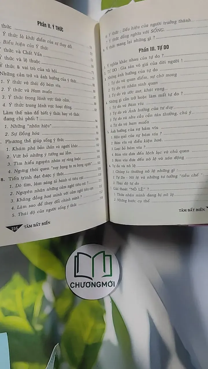 Tâm bất biến giữa dòng đời vạn biến - TS. Trần Thị Giồng 776207