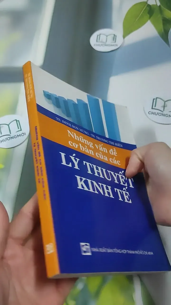 Những Vấn Đề Cơ Bản Của Những Lý Thuyết Kinh Tế - TS Đinh Sơn Hùng 727371