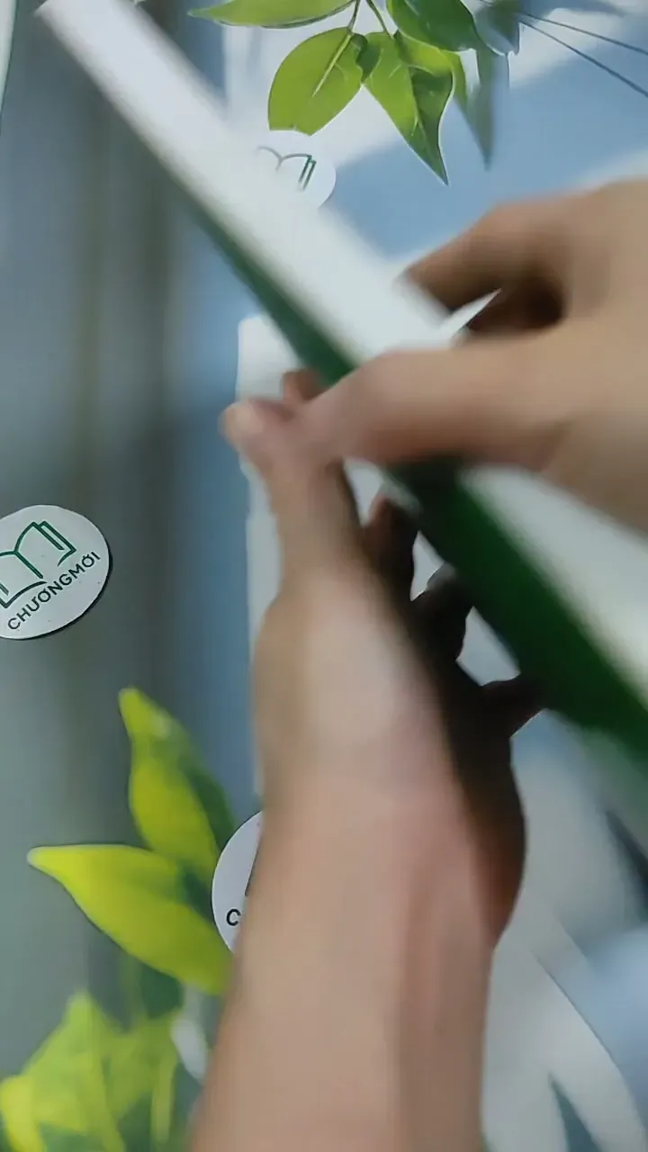 English Vocabulary In Use 713917