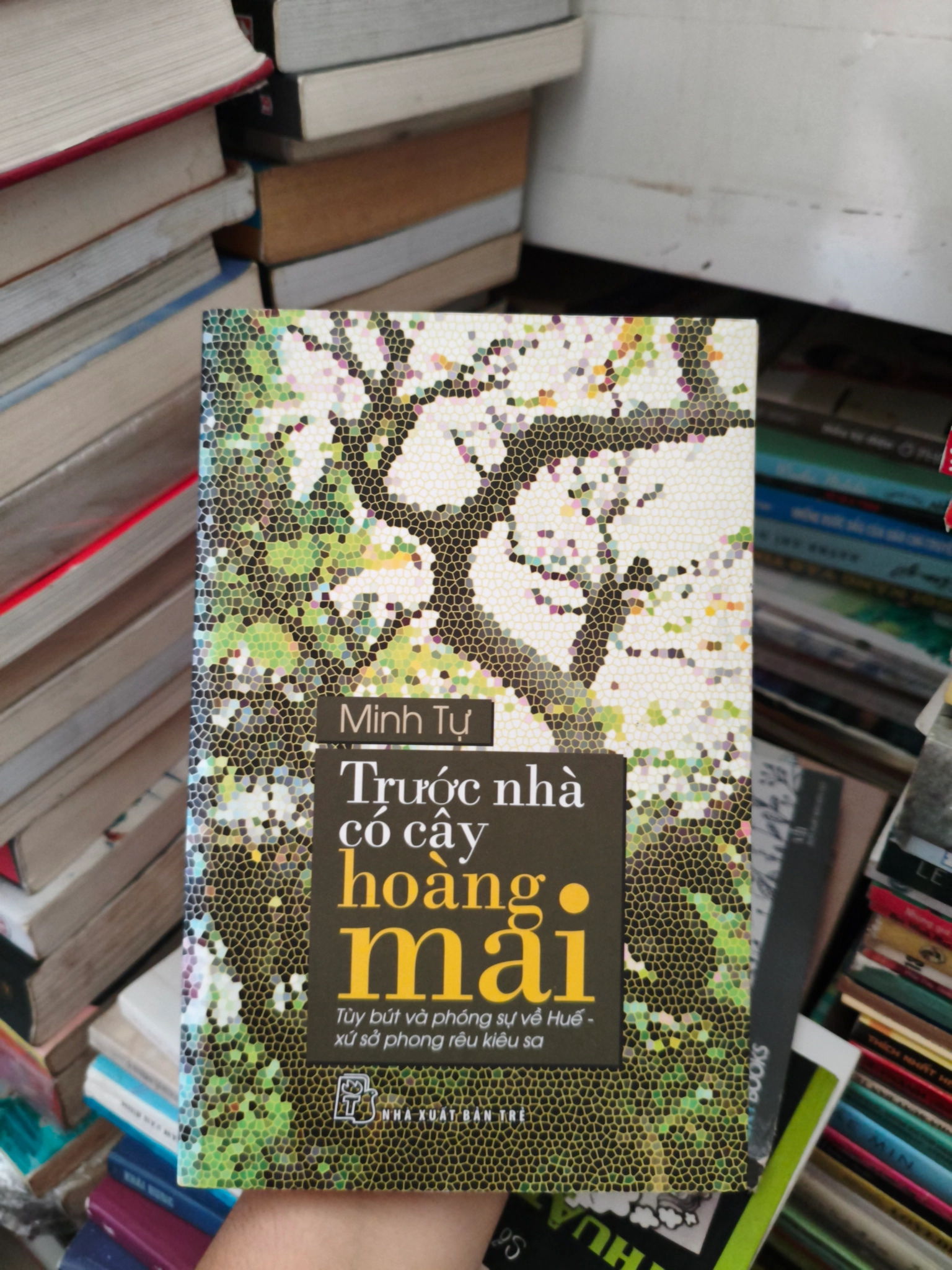 Trước nhà có cây hoàng mai 🌱 by  - Sách Book Cover - Ngọc Hiển Books
