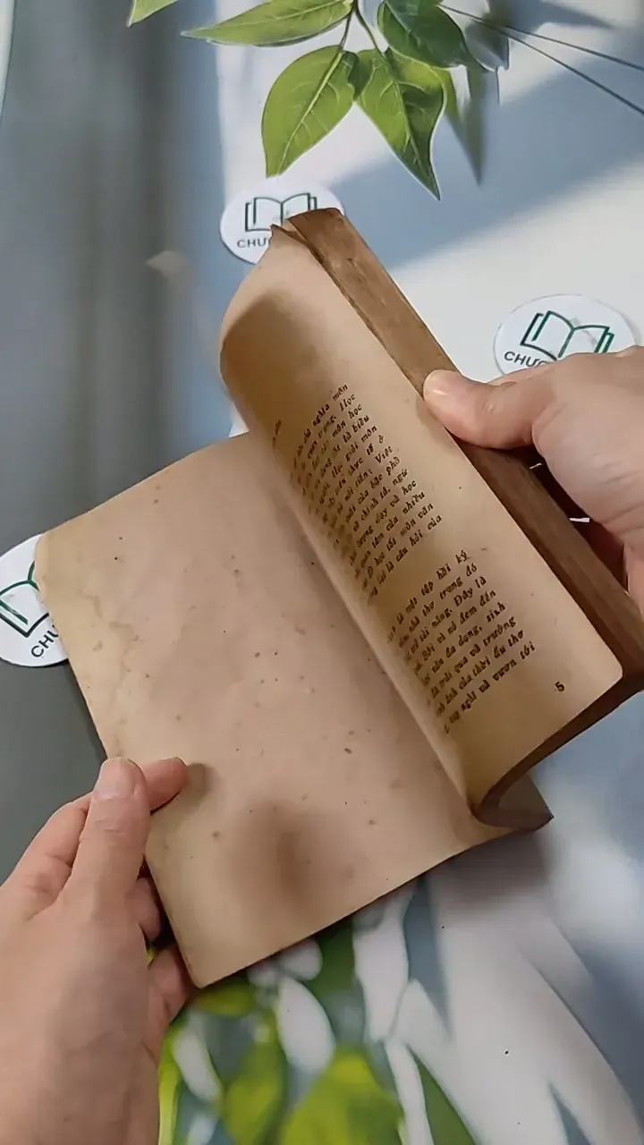 Hồi Nhỏ Các Nhà Văn Học Văn 713828