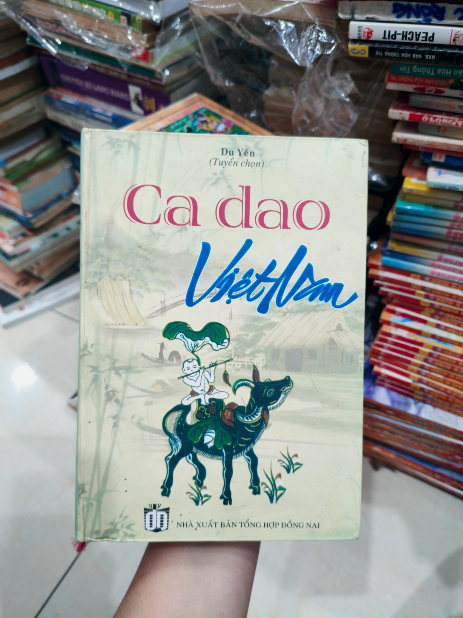 Cà dao Việt Nam 🌱 by  - Sách Book Cover - Ngọc Hiển Books