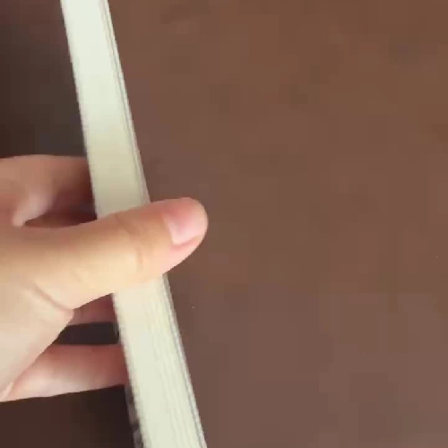 Vòng Tay Samurai – Amélie Nothomb | Tiểu thuyết văn học châu Âu đặc sắc (Nhã Nam)