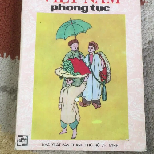 Việt Nam Phong Tục - Phan Kế Bính 297750