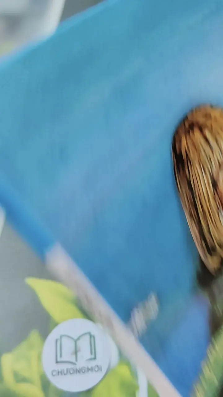 [Tặng nẹp góc] Truyện thiếu nhi Hàn Quốc: Moyamo Anu 35 -  모야모 아누와: 마법의 알 732032