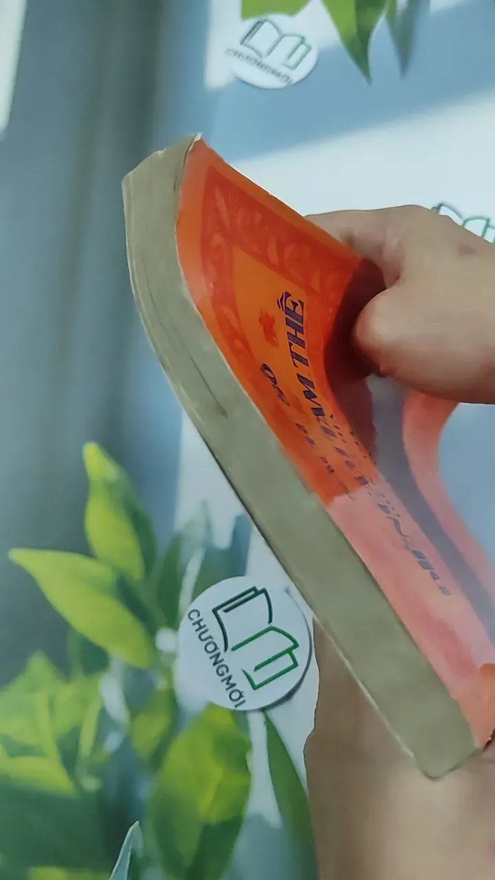 [MIỄN PHÍ BỌC SÁCH] Diễn Cầm Tam Thế Diễn Nghĩa - Dương Công Hầu 776244