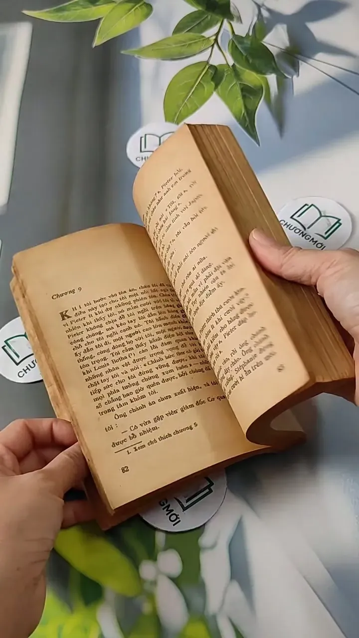 Tuyệt Mù Bóng Chim - Alan Paton 713811