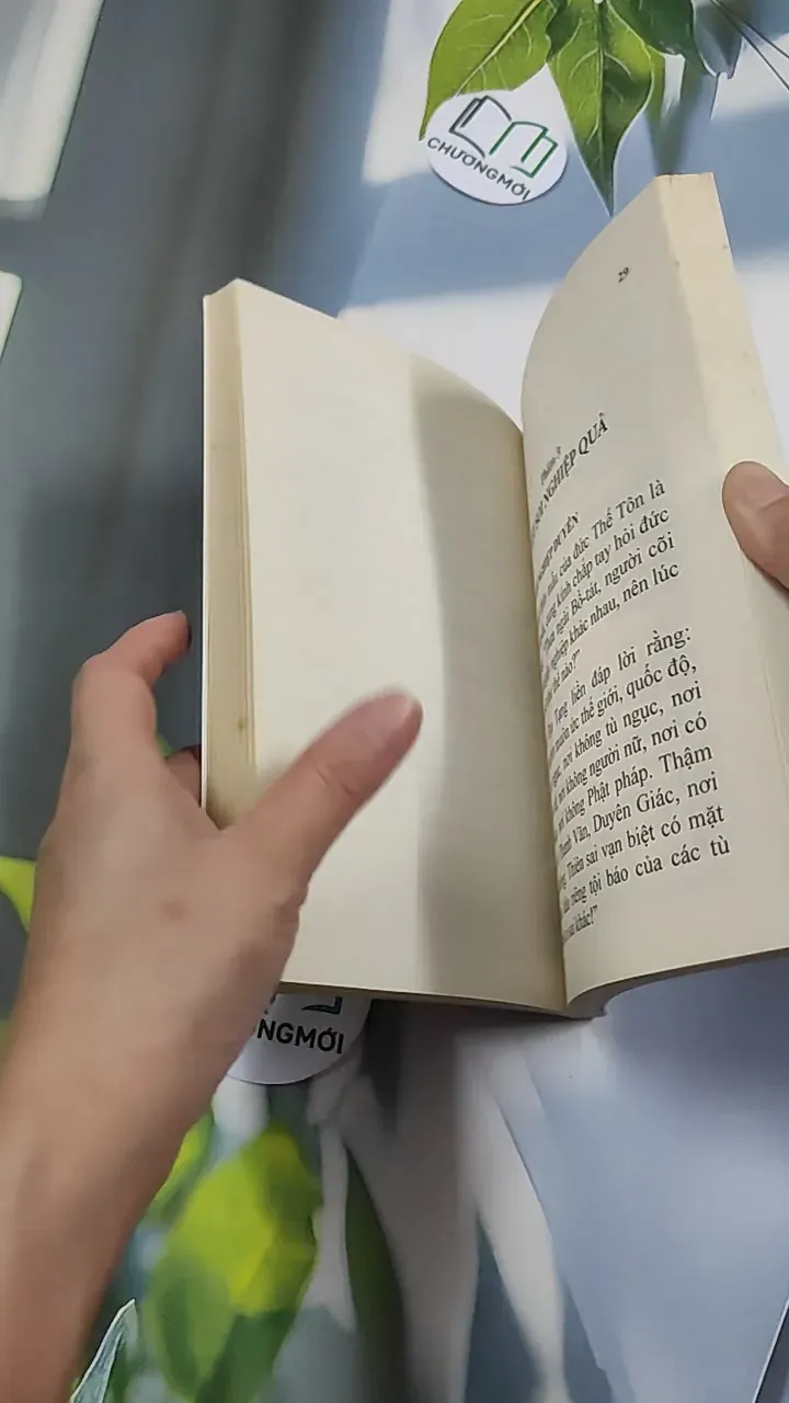 Kinh Địa Tạng - Thích Nhật Từ 776138