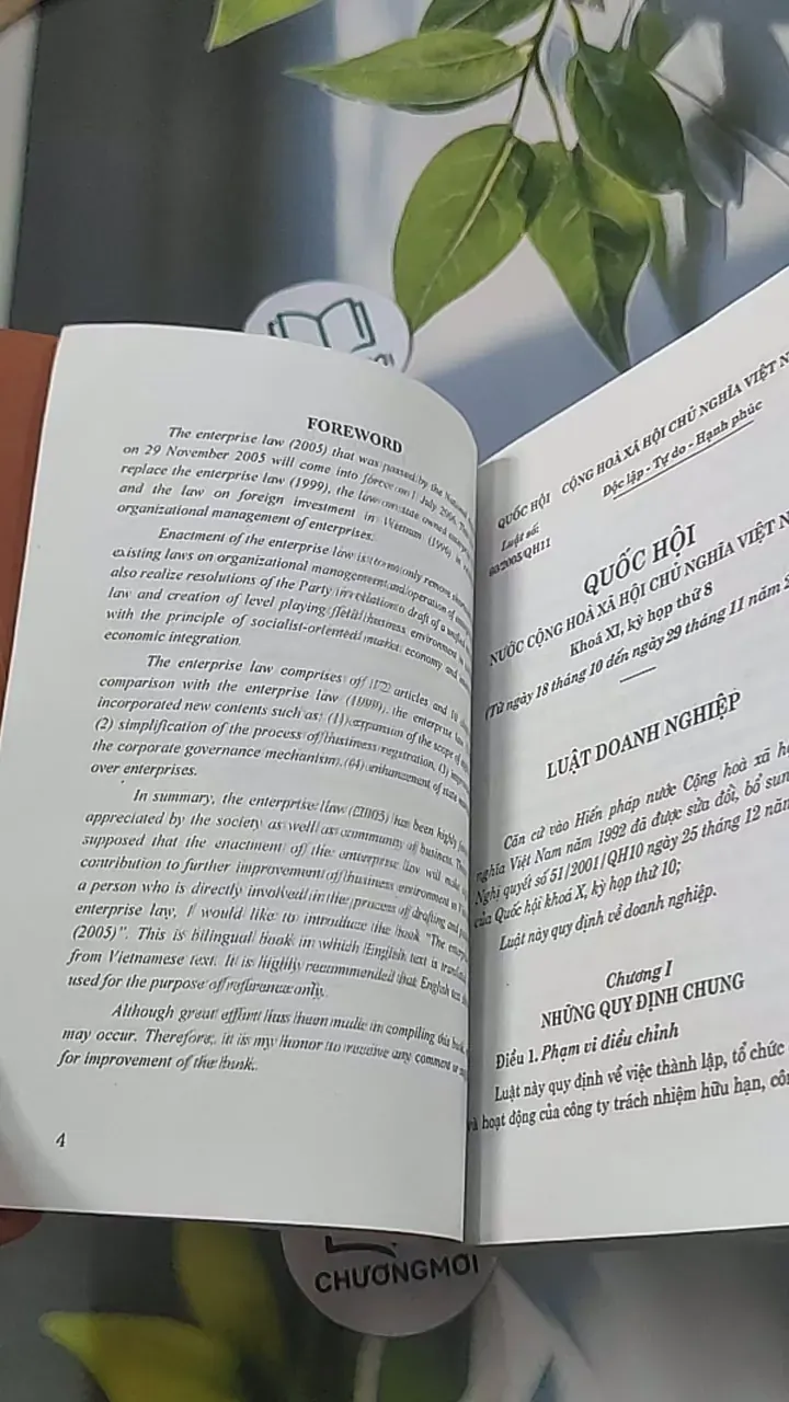 Luật Doanh nghiệp (Song ngữ Việt - Anh) 688498