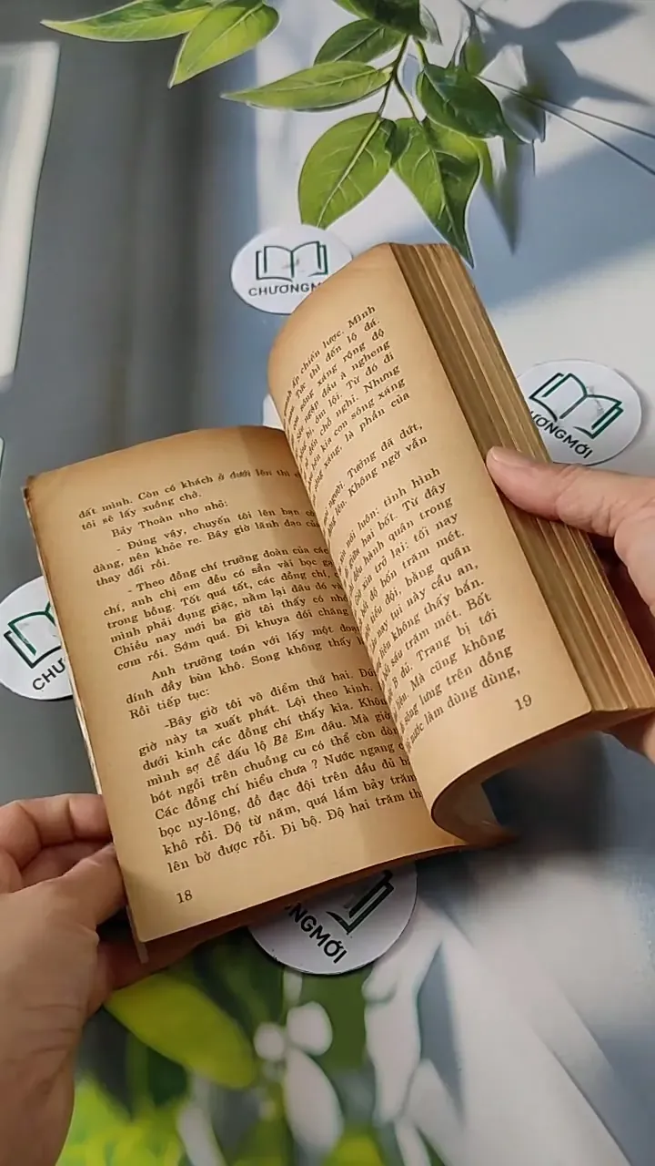 Những Người Đi Và Hai Người Ở Lại - Đinh Quang Nhã 713809